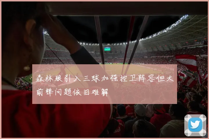 森林狼引入三球加强控卫阵容但大前锋问题依旧难解